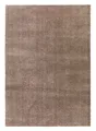 Teppich Maschinenwebteppich Kurzflorteppich 80 x 150 cm