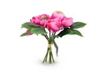 Kunstblumenstrauß Pfingstrosen Strauß künstlich 30 cm Pfingstrose, Spetebo, Höhe 30 cm, Deko Blumenstrauß gebunden