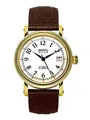 BWC Swiss Herren Uhr Analog Automatik mit Leder Armband 207685134