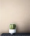 Newroom Vliestapete, Beige Tapete Uni Einfarbig - Unitapete Weiß Modern Textil-Optik Struktur für Wohnzimmer Schlafzimmer Küche