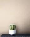 Tapete Vliestapete Beige Unifarbe Textil Struktur Unitapete
