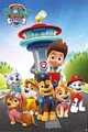 PYRAMID Poster Paw Patrol Poster Team 61 x 91,5 cm