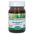 Gerstengras 400 mg Tabletten 100 g
