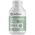 AniForte Teufelskralle Gelenk Kapseln für Hunde 100 Stück - Gelenktabletten als praktische Kapsel, 100% Naturprodukt Gelenke Pulver, Hohe Akzeptanz beim Hund