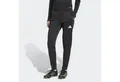adidas Performance Trainingshose ENT26 TR PNT W