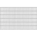 Doppelstab-gittermatte, Verz.anthr, Bxh2000x1200mm, Draht-ø6/5/6, Masche50x200mm - Alberts