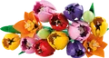 LEGO 11501 - LEGO Botanicals - Tulpenstrauß