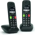 Gigaset E290 Duo (DE-Version) (L36852-H2901-B101)