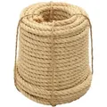 Seil 100% Sisal 12 Mm 50 M Vidaxl