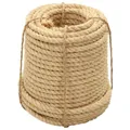 Seil 100% Sisal 12 mm 50 m