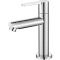 Wasserhahn Kaltwasser, Standventil, Standard Chrom, abnehmbar, Edelstahl, 9L/min