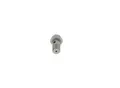 BOSCH 2417413101 für DAF RENAULT