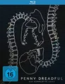 Penny Dreadful - Gesamtbox [Blu-ray]