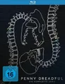 Blu-ray Penny Dreadful