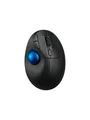Kensington Pro Fit Ergo TB450 Trackball - Maus (Schwarz)