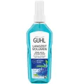 150ml Guhl Langzeit Volumen Föhn Aktiv Styling Spray für feines kraftloses Haar