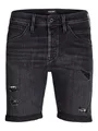 JJIRICK JJFOX Shorts AM 310 SN