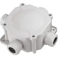 Pawbol Anschlussdose IP67 4xPG21,5 5 Klemmen 27P grau A.0036 (A.0036)