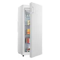 Hisense FV191N4AWD Gefrierschrank 143,4 cm mit Transportschaden