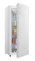 HISENSE FV191N4AWD Gefrierschrank (D, 155 l, 1434 mm hoch)