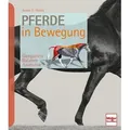 Pferde in Bewegung von Susan E. Harris / Müller Rüschlikon / Buch