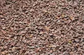 4myBaby Best for Garden Granit Ziersplitt rot 16-22 mm umweltfreundlich klein Kies Splitt Natur bunt für Beete, Wege & Gartenteiche Zierkies 10 kg-500 kg zur Auswahl (10 kg)