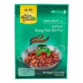 Asian Home Gourmet Gewürzpaste für Szechuan Kung Pao Gong Bao Paste 50g