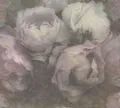 AS Vliestapete New Walls Florale Tapete 373921
