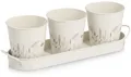 Zeller Present Kräutertopf Pflanztopf-Set (Set, 4 St), 3 Töpfe & passendes Tablett