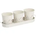 Zeller Present Kräutertopf Set Flowers 4-teilig Metall 37x10.5x11 cm (37 x 10.50 x 11 cm) (19405-140408.9405)