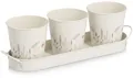 Kräutertopf ZELLER PRESENT "Pflanztopf-Set", weiß, B:10,5cm H:11cm T:37cm
