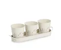 ZELLER 19405 Kräutertopf-Set FLOWERS Metall 4-teilig, weiß/Dekor