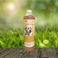 Fazoo Olio Vivo Active 10.000 ml