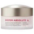 ANNEMARIE BÖRLIND SYSTEM ABSOLUTE SYSTEM ANTI-AGING Regenerierende Nachtcreme 50 ml