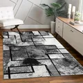 Paco Home Teppich Wohnzimmer Modern Kurzflor Abstrakt Gemälde Optik Schwarz Grau Anthrazit, Grösse:120x170 cm