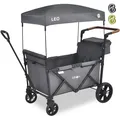 FableKids Bollerwagen LEO X2Lite mit Dach faltbarer Transportwagen Grau