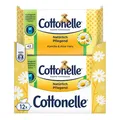 Feuchtes Toilettenpapier 12x42 Tücher Kamille Aloe Vera Bio Abbaubar Cottonelle