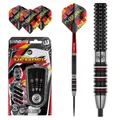 Steeldart Winmau Florian Hempel 1491 - 25g