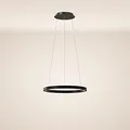 s.luce LED Ring Pendelleuchte rund Direkt oder Indirekt Hängelampe Wohnzimmerleuchte, Farbe:Schwarz, Größe:Ø 40cm