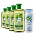 Balea 5er Set: Shampoo Sensitive, 300 ml Geschädigtes/Strapaziertes Haar, Trockenes Haar + Haarwasser Birke, 4x 500 ml für schuppiges & leicht fettendes Haar