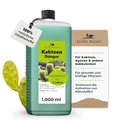 Konfitee Kakteen Dünger Flora Boost 1000ml I Für bis zu 200L Gießwasser I Für Kakteen & andere Sukkulenten Pflanzen I Flüssiger Blatt- & Wurzeldünger I 100% natürlicher Pflanzendünger
