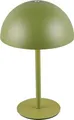 REALITY LED-Akku-Tischleuchte MUNOZ, R54891115, 1,3W, 120lm, 3000K, grün