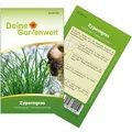 Deine Gartenwelt Zyperngras Samen