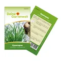 Zyperngras Katzengras Samen - Cyperus zumula - Zyperngrassamen - Katzengrassamen