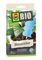 COMPO BIO Blausticker 10 Stück Leimfalle gegen Thripse