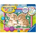 Ravensburger Malen nach Zahlen-Set: "Niedliche Häschen" - ab 7 Jahren