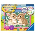 Ravensburger Malen nach Zahlen Niedliche Häschen Ostern Hasen Beschäftigung