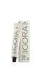 Schwarzkopf Haarfarbe Schwarzkopf Igora Royal Absolutes SilverWhite Slate Grey 60ml