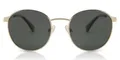 Polaroid Unisex Pld 2053/S Sonnenbrille, Gold Grey, 51 EU