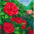 Craft Buddy CAK-TK1M - Crystal Art, Perfect Red Rose, Thomas Kinkade Kit, 30x30cm